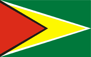 Guyanan Flag