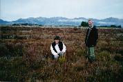 Peatland Covenant,Te Anau